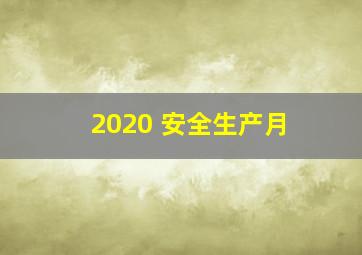 2020 安全生产月